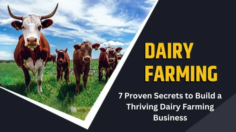 Dairy Farming Business