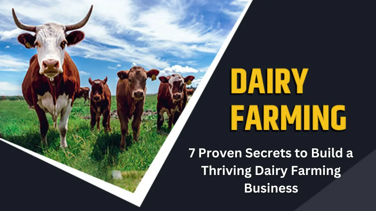 Dairy Farming Business