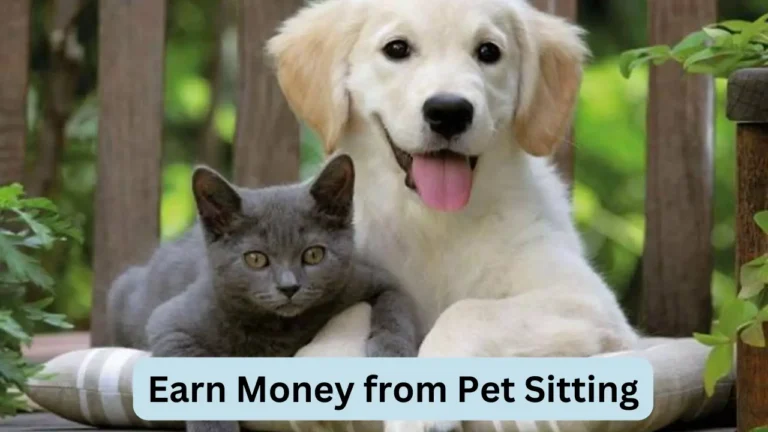 Earn Money from Pet Sitting