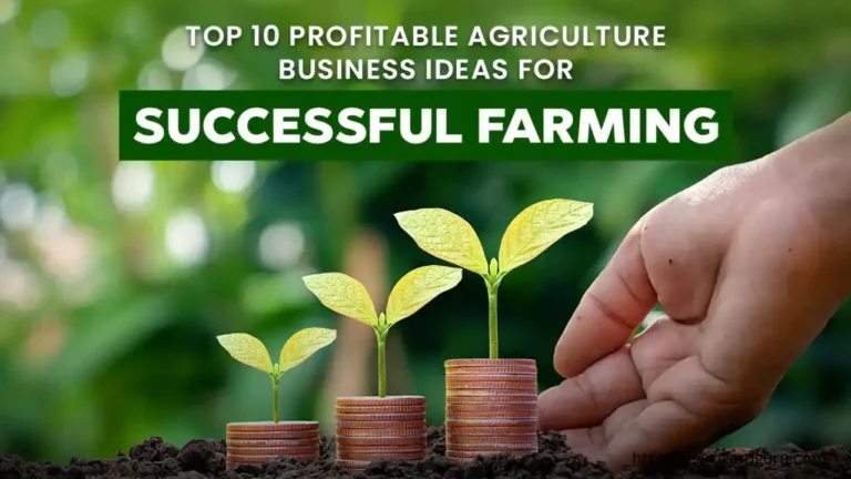 Agriculture Business Ideas in India