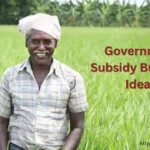 Government Subsidy Business Ideas