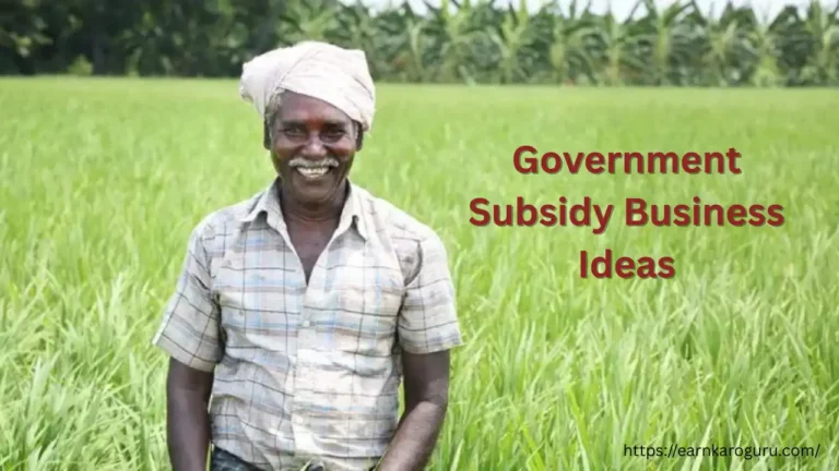 Government Subsidy Business Ideas
