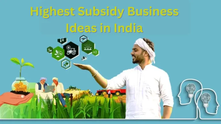 Highest Subsidy Business Ideas in India