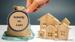 Subsidy vs. Loan